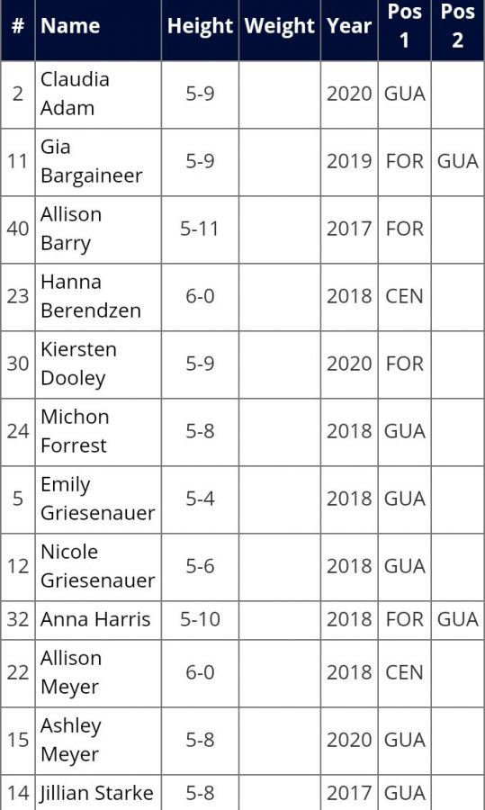 The Holt girls basketball roster features only two seniors, six juniors, one sophomore, and three freshmen.