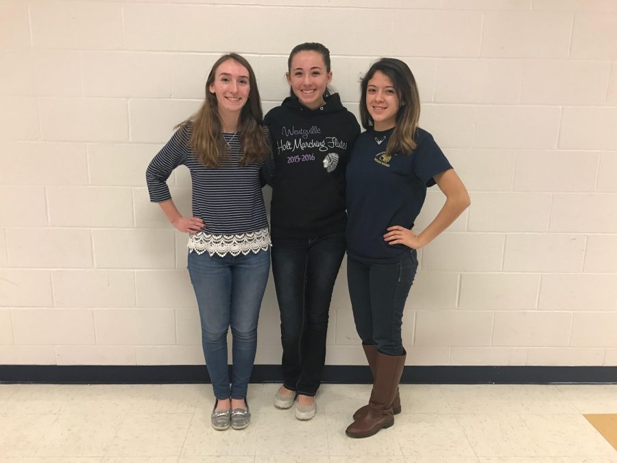 Three juniors, Cassie Nichols, Paige Eller, and Ale Anchondo strive to keep music education alive.