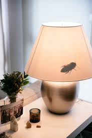 Bug Lamp Shade