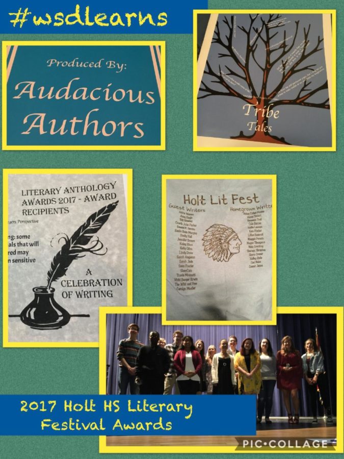 Audacious Authors Literary Awards