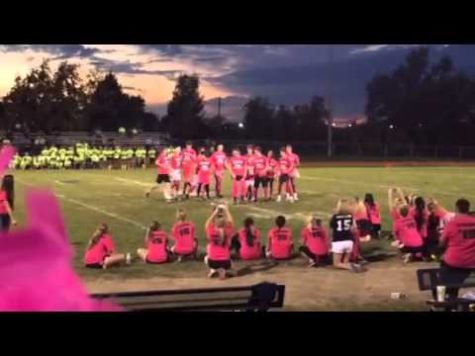Holt’s Powderpuff