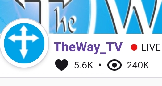 A screenshot of Daniel and Joshua Greenings record breaking Twitch channel, TheWay_TV.