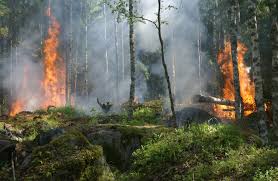 Amidst the fires, a feud lingers on. When will it end?