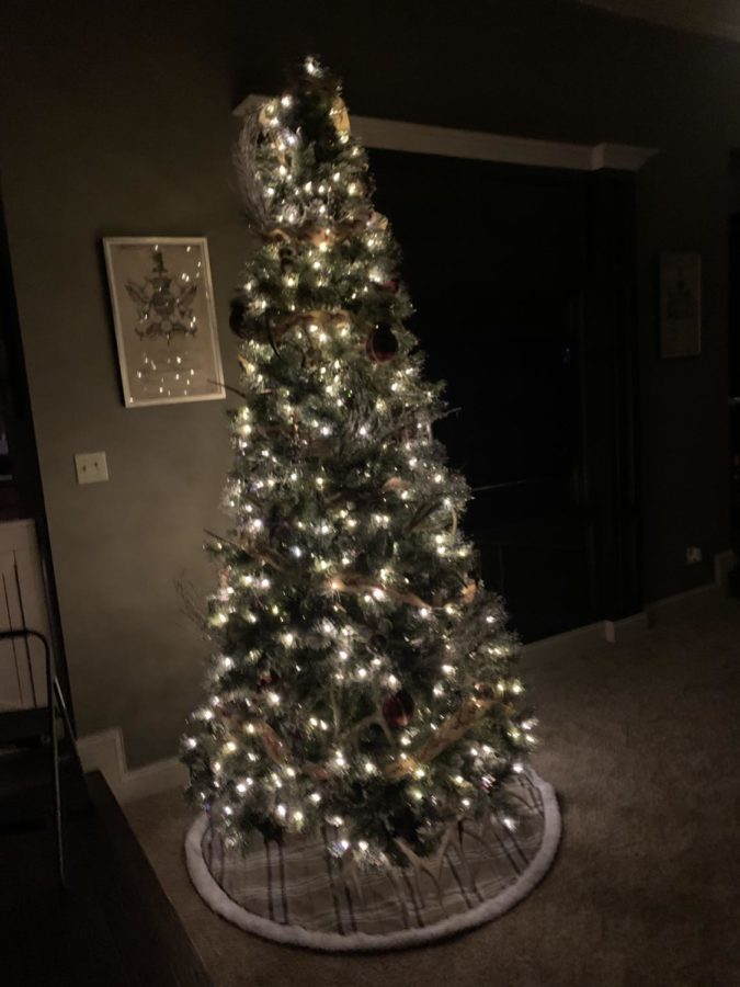 The Strassner family christmas tree.