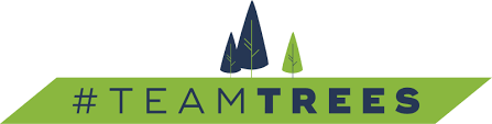 Team Tree logo from online.