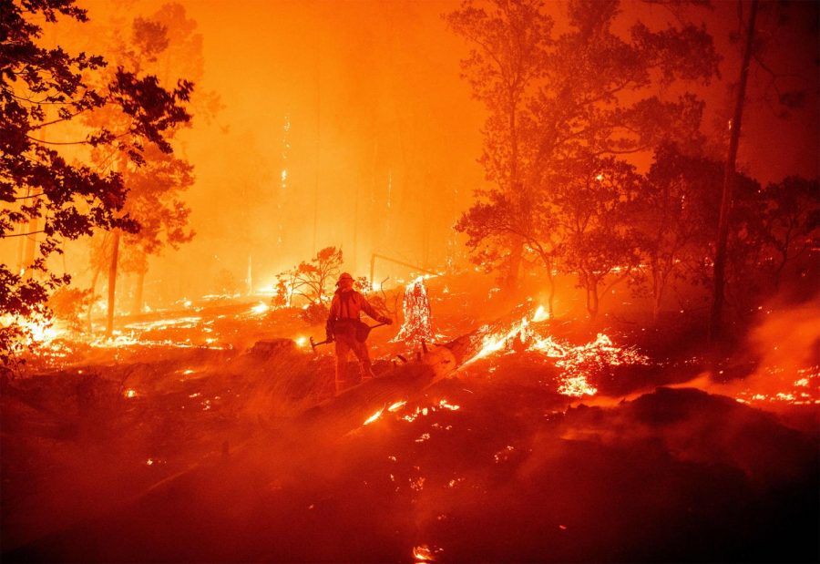 Forest Fires on the West Coast Breaking Records