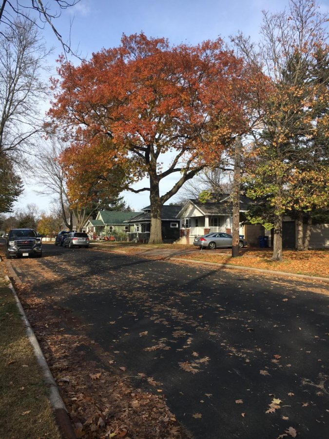 As the weather gets colder and the leaves turn, this shows the changing of the new season.