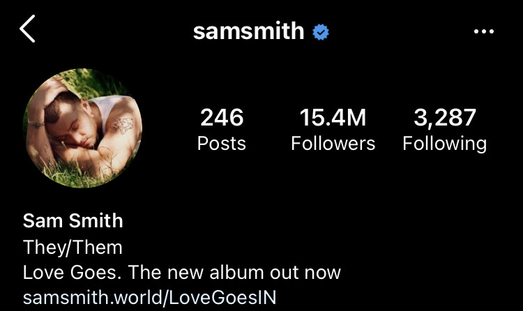 Celebrities and people with huge social media platforms, such as Sam Smith, often times display their preferred pronouns in their bios.