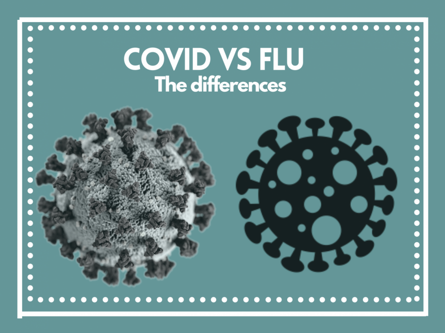 Covid+and+the+flu+have+similar+symptoms%2C+but+some+key+differences.