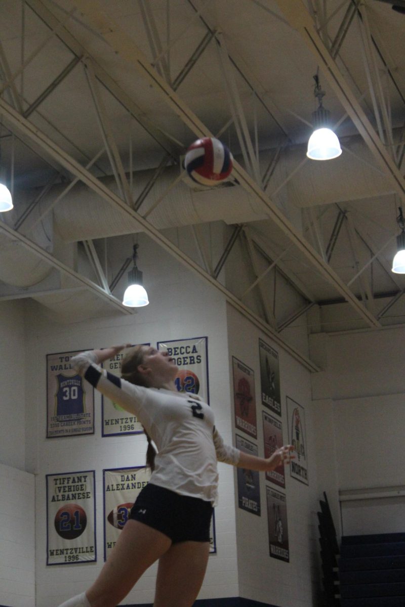 One of the Volleyball Players serving the ball in a game.